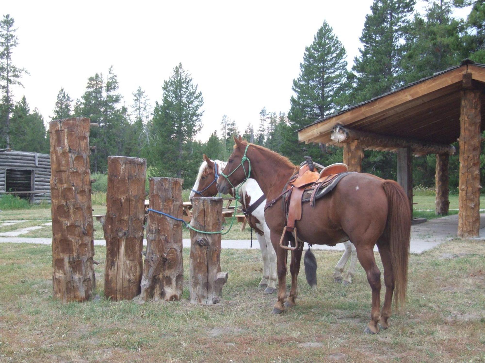 Eagle Ridge Ranch Vila Island Park Exterior foto