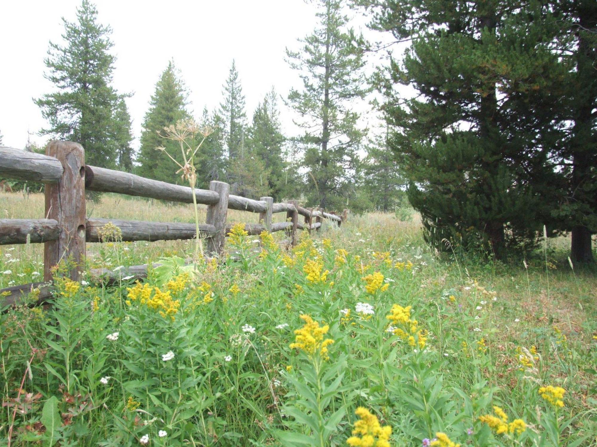 Eagle Ridge Ranch Vila Island Park Exterior foto